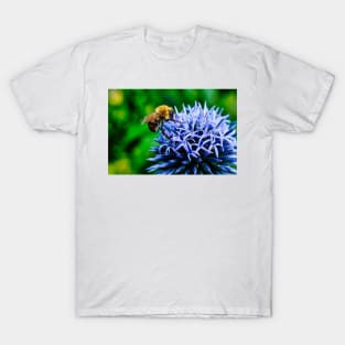 Bee On Small Globe Thistle 2 T-Shirt